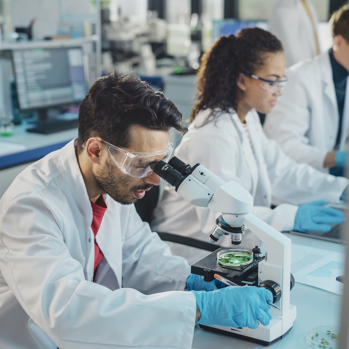 Le projet Biosagis